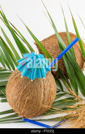 Frische Kokosnuss Cocktails mit Sonnenschirmen auf Kokosnussblättern platziert Stockfoto