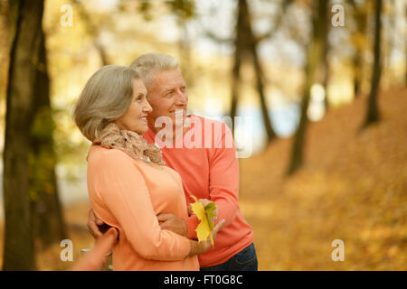 Altes Ehepaar posiert im Herbst park Stockfoto