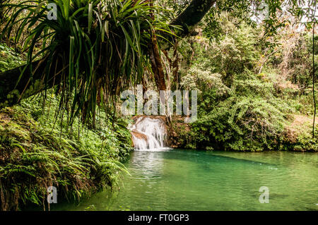 Topes de Collantes Nature reserve, Escambray Berge, Kuba Stockfoto