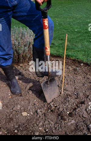 Nahaufnahme eines Gärtners graben ein Loch, um ein neues Werk für nur zur redaktionellen Nutzung stieg Stockfoto