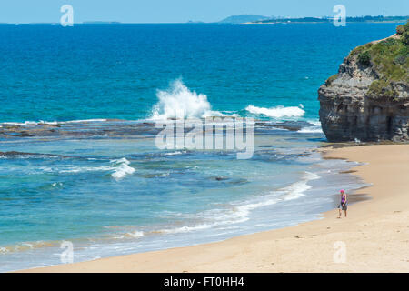 Touristischen Spaziergänge am Strand entlang des Grand Pacific Drive als die Tasmanische See südlich von Sydney in rollt. Stockfoto