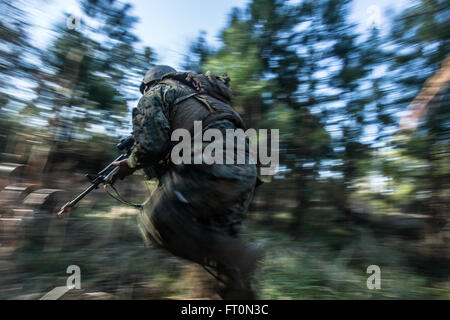 Ein US-Navy Corpsman zugewiesenen Bereich Medical Training Bataillon Ost (FMTB-E), reagiert auf einem simulierten Angriff während einer letzten Übung (FINEX) im Camp Johnson, N.C., 2. März 2016. FINEX ist eine kulminierende Fall bei FMTB-E die Segler in der Fleet Marine Force übergeht. (U.S. Marine Corps Foto von Sgt. James R. Skelton/freigegeben) Stockfoto