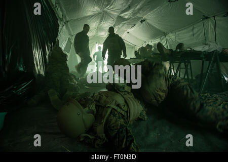 US Navy Sanitätern zugewiesenen Bereich Medical Training Bataillon Ost (FMTB-E), simulieren ein mass Casualty Szenario während einer letzten Übung (FINEX) im Camp Johnson, N.C., 2. März 2016. FINEX ist eine kulminierende Fall bei FMTB-E die Segler in der Fleet Marine Force übergeht. (U.S. Marine Corps Foto von Sgt. James R. Skelton/freigegeben) Stockfoto