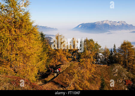 Wanderer, die aufsteigend Mount Feuerpalven, Blick über Nebel gehüllten See Königssee zu Mount Untersberg im Hintergrund, Berchtesgadener Land, Oberbayern, Deutschland Stockfoto