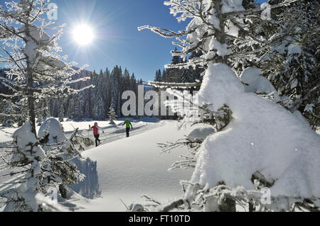 Langläufer, Reit Im Winkl, Chiemgau, Bayern, Deutschland Stockfoto