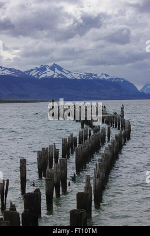 Puerto Natales, Fjord, ehemaligen Pier mit Kormoranen, Patagonien, Chile Stockfoto