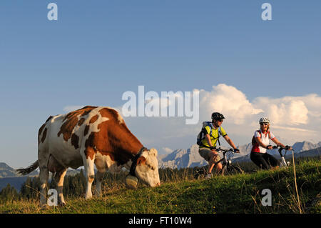 Paar, e-Fahrrad fahren, Winklmoosalm, Reit Im Winkl, Chiemgau, Oberbayern, Deutschland Stockfoto