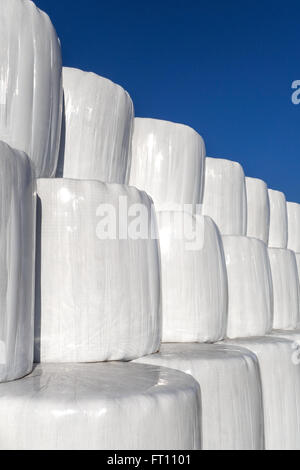 Gestapelte weißen Silageballen gegen blauen Himmel Stockfoto