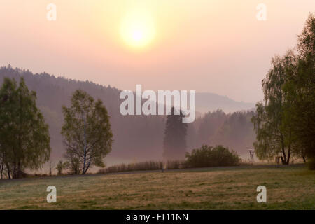 Naturpark Solling-Vogler, Dassel, Niedersachsen, Deutschland Stockfoto