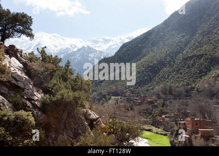 Berber Dorf Setima Fatma, Setima Fatma, Ourika Tal, hoher Atlas, Marokko Stockfoto