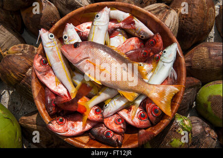 Bunte Fische zum Verkauf auf einem Markt, Makemo, Tuamotu-Inseln, Französisch-Polynesien, Südsee Stockfoto