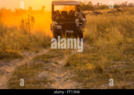 Safari-Jeep mit Wildlife Guide-Spotter auf ein Spiel fahren bei Sonnenuntergang, Sandibe Camp, durch das Moremi Game Reserve, Okavango Delta, Botswana, Südafrika Stockfoto