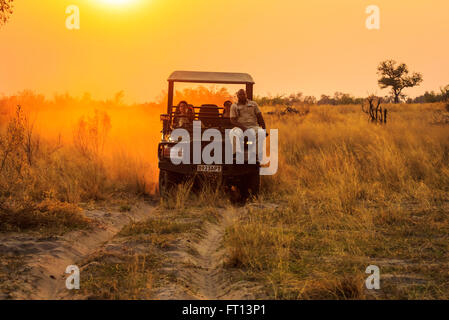 Safari-Jeep mit Wildlife Guide-Spotter auf ein Spiel fahren bei Sonnenuntergang, Sandibe Camp, durch das Moremi Game Reserve, Okavango Delta, Botswana, Südafrika Stockfoto