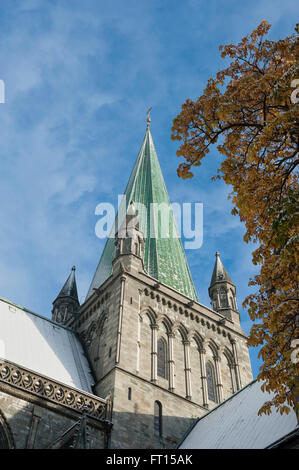 Turm und Südfassade des Nidaros Kathedrale. Trondheim. Norwegen. Europa Stockfoto