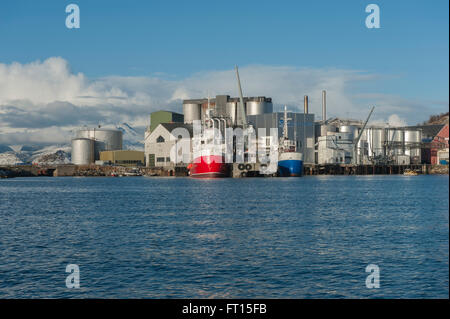 Bodo Sildoljefabrikk norwegischen Fabrik. Hafen von Bodø. Norwegen. Europa Stockfoto