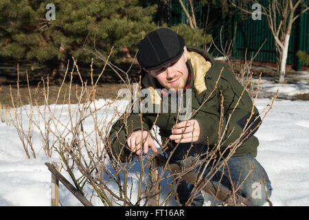 Mann im Garten arbeiten Stockfoto