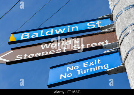 Steilste Straße der Welt Stockfoto