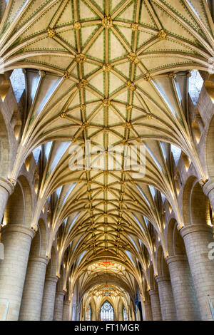 Das Kirchenschiff gewölbte Decke in Tewkesbury Abbey. Tewkesbury, Gloucestershire, England. HDR Stockfoto