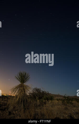 Szenen rund um Marfa, TX Stockfoto
