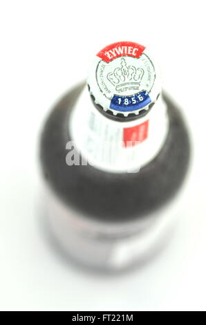 Zywiec Bier isoliert auf weißem Hintergrund. Stockfoto