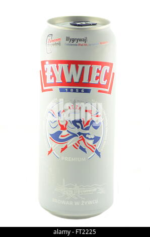 Zywiec Bier isoliert auf weißem Hintergrund. Stockfoto