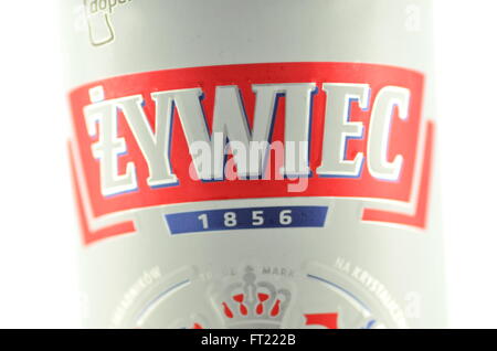 Zywiec Bier isoliert auf weißem Hintergrund. Stockfoto