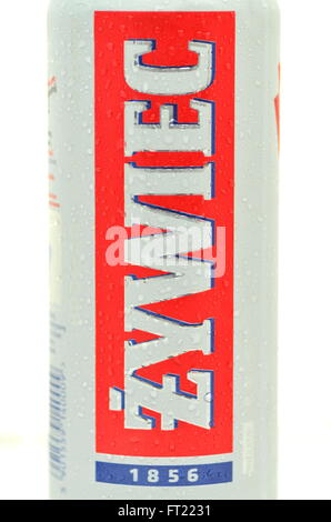 Zywiec Bier isoliert auf weißem Hintergrund. Stockfoto