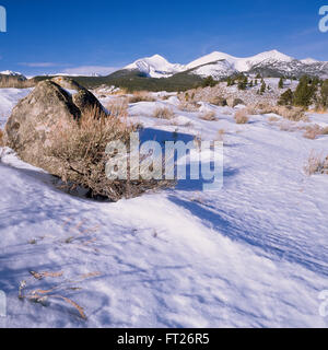 Winterschnee in Ausläufern unter Torrey Berge und Gipfel des Osten Pionier-Gebirges in der Nähe von Dillon, montana Stockfoto