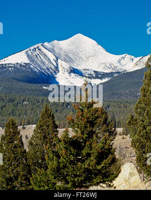 Torrey Berg im Osten Pionier Bereich in der Nähe von Dillon, montana Stockfoto