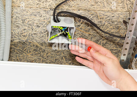 Schraubendreher-Anzeige in einer Hand in Pull-box Stockfoto