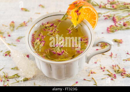 Bitter-Rasen-Tee im Wasserglas auf einem gedeckten Tisch Stockfoto