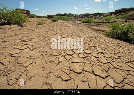 Globaltemperaturanstiegbegriff, trockene Risse im Land in ländlichen Gebieten Stockfoto