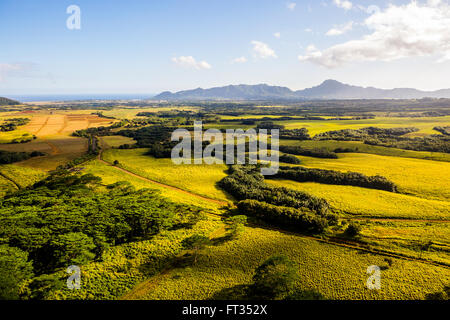 Luftaufnahmen von grüner Vegetation auf Kauai Hawaii Stockfoto