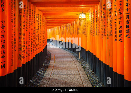 Torii-Tore in Fushimi Inari Schrein, Kyoto, Japan Stockfoto
