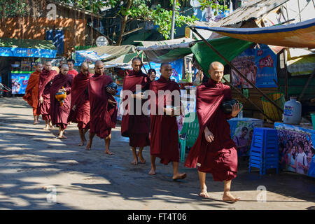 Mönche auf ihre Morgen Almosen runden, Yangon, Myanmar Stockfoto
