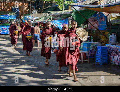 Mönche auf ihre Morgen Almosen runden, Yangon, Myanmar Stockfoto