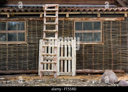 Die Wand von einem ländlichen Schuppen setzt sich aus den gebundenen frischen Weidenruten und Zweigen. Leiter aus Kiefer protokolliert im Vordergrund Stockfoto