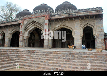 Auf Seiten der Bada Gumbad Moschee, Lodhi Gärten, Delhi, mit Inschriften Bögen und Kuppeln auf der Oberseite Stockfoto