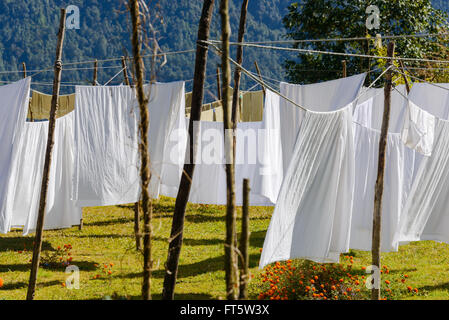 Weiße Tücher trocknen in einem Garten, Nepal Stockfoto