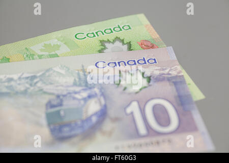 Kanadische 10 und 20 Dollar Banknoten auf grauem Hintergrund Stockfoto