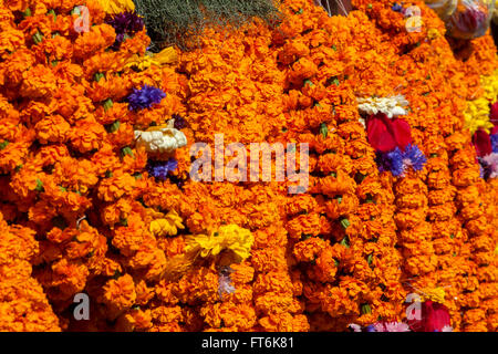 Nepal, Kathmandu.  Girlanden von Ringelblumen, für Beerdigungen und für Tempel Dekorationen verwendet. Stockfoto