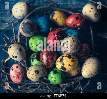 Bunte Wachteleier zu Ostern im Nest, selektiven Fokus Stockfoto
