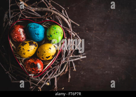 Bunte Wachteleier in Herz-Form-Box am Nest, Tiefenschärfe und Leerzeichen Stockfoto