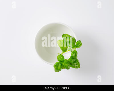 Zweig frisches Basilikum in Schüssel weiß Stockfoto