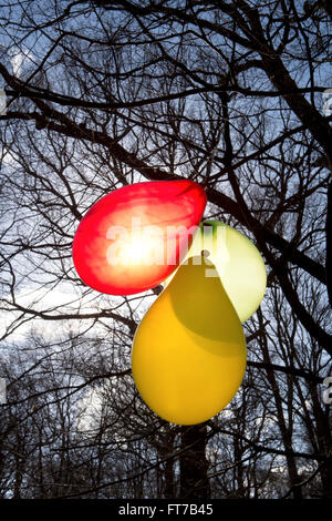 Drei Ballone hängen von den Zweigen eines Baumes im Wald. Stockfoto