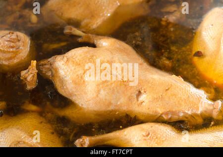 Topf gedünstet Ente Sauce Kochen Stockfoto