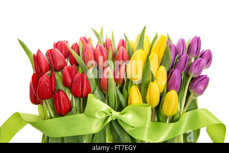 Tulpen mit Wassertropfen. Frühling Blumen rot, rosa, gelb, lila Stockfoto