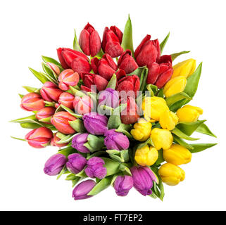 Tulpen mit Wassertropfen. Frühling Blumen rot, rosa, gelb, violett. Ansicht von oben Stockfoto