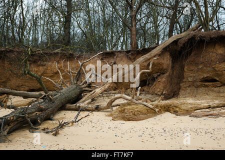 Auswirkungen der Küstenerosion, Benacre, Suffolk, UK. Stockfoto