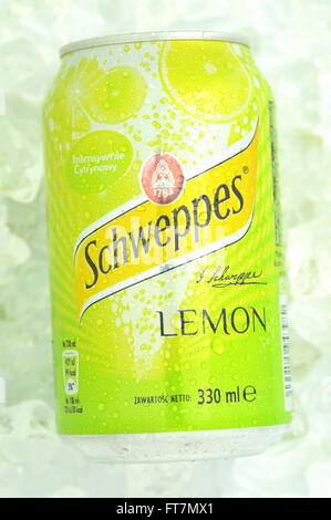 Schweppes trinken auf Eiswürfel Stockfoto